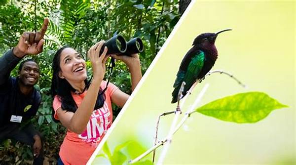 Birdwatching Tours Offered At Natural Tourism Bandung Parks 2025