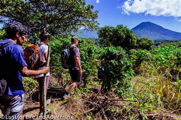 Full Traveler’s Guide To Hiking And Coffee Plantations At Nature Tourism Posong
