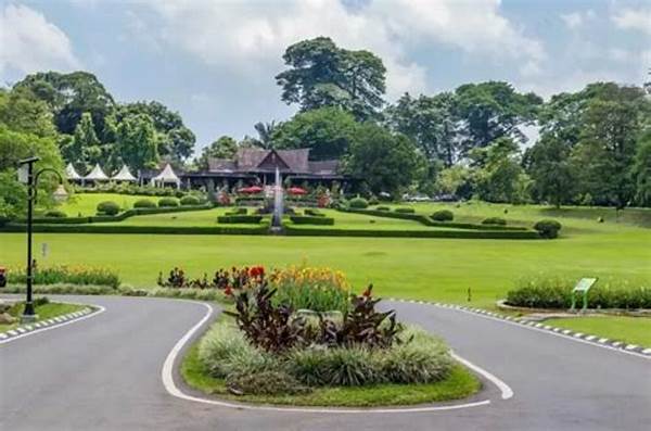 Natural Tourist Attractions In Bogor Sunrise Trekking Spots Trending