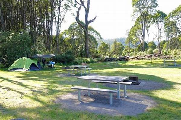 Nature Tourism Terdekat Picnic Grounds Popular For Reunions This Year