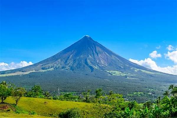 Why The Natural Fence Tourist Spot Is Perfect For Photography Lovers