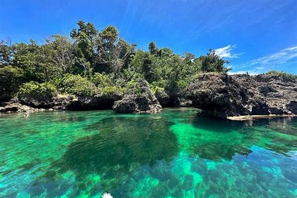 Why The Natural Fence Tourist Spot Is Viral On Instagram Reels 2025